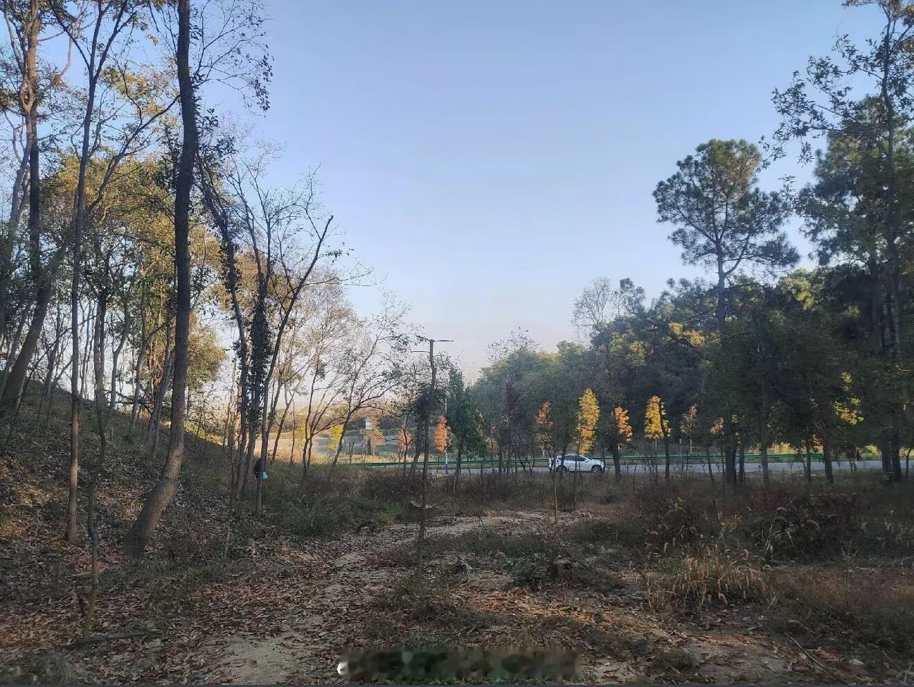 兄弟们，中午好，新的一周，愿大家思路清晰，节奏稳住，顺势而行，收获满满，一切顺利