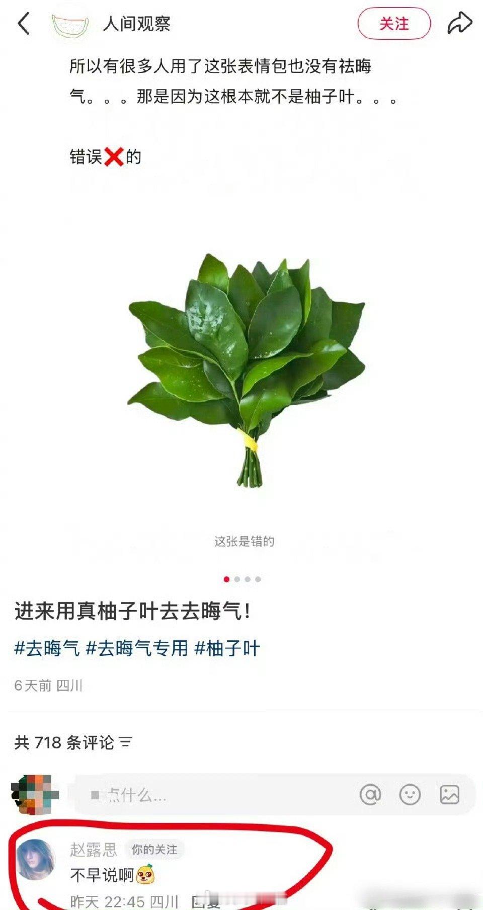 赵露思回复网友的“假柚子叶”评论，活人感太强了