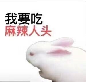 很难理解开学典礼和毕业典礼上那些校领导的讲话，长篇大论的也不知道在说些什么，他们
