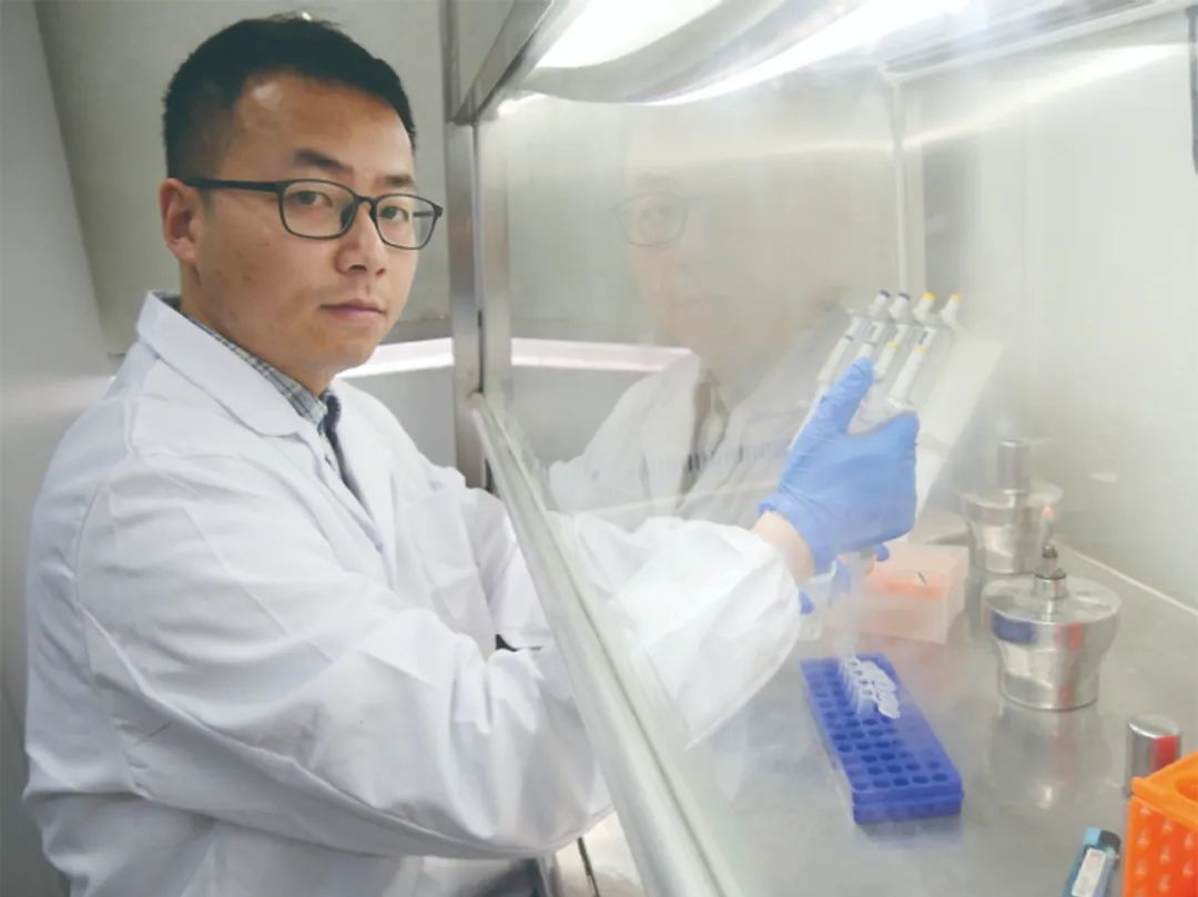 科技  改变生活！【大肠杆菌实现光合作用】中南林业科技大学教授刘高强团队联合江南