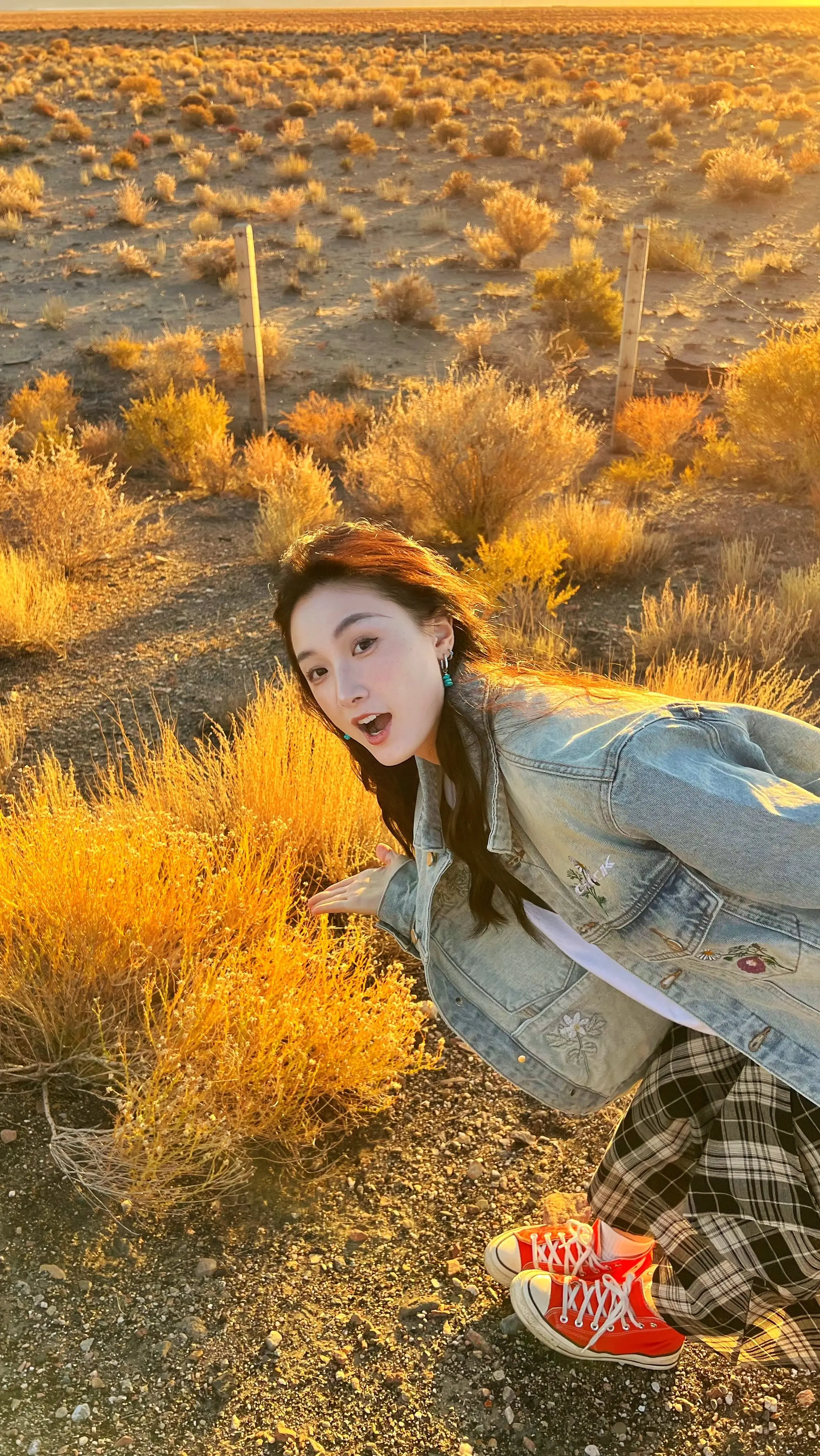 你们的生命不会呐喊吗