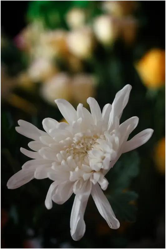 有时候，“各自安好吧”这句话里藏着太多无奈和心酸。就像一段爱到互相伤害的感情，继