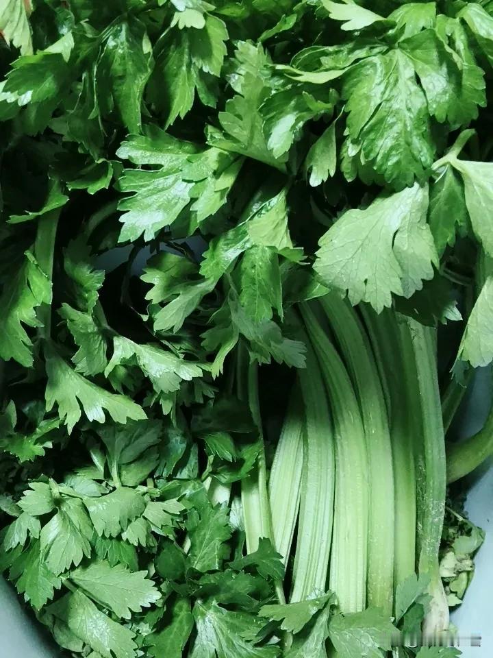 《日记》4月2日，小雨转晴

 
4月2日 上午雨
 
闲得发慌，打开头条想刷点