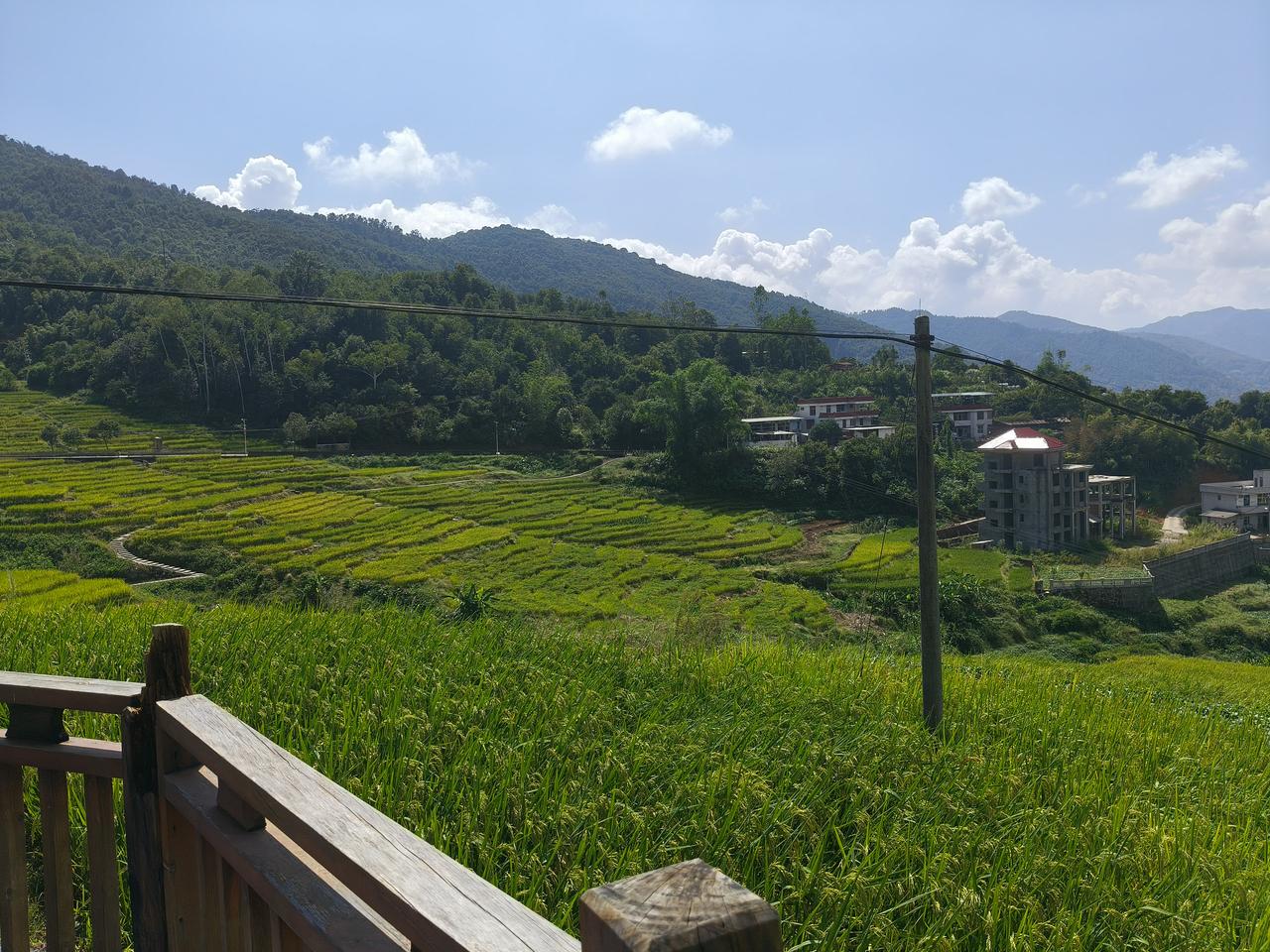 山间梯田，绿意盎然，宁静祥和。