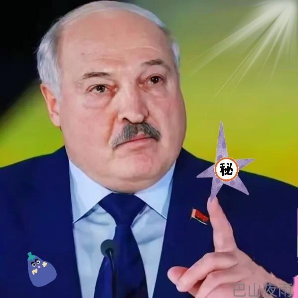 果然不出所料，
白俄罗斯开始反击了！
11月3日，白俄罗斯立法禁止注册于波兰和立