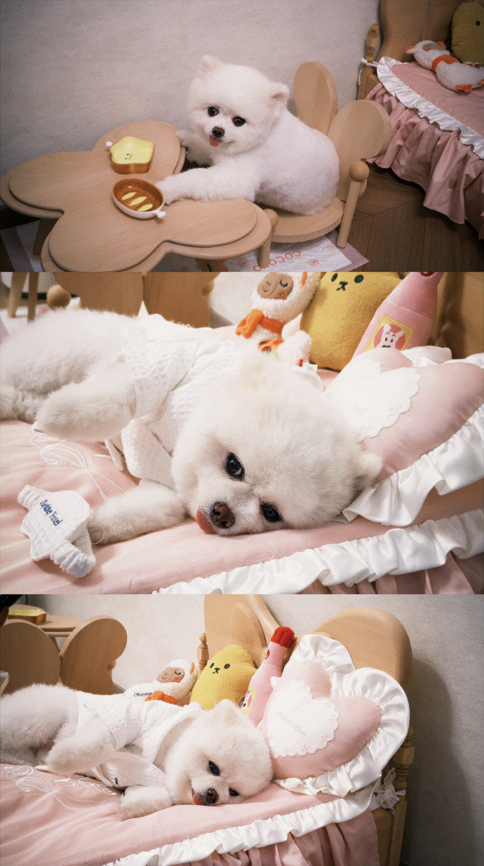 孟子义沈妙营业孟子义眉毛在发光 孟子义眉毛在发光 