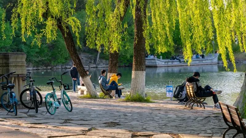 今天单位新来个大学生，孩子比较内向也不说话。

大家都各忙各的，没有人跟他说话，