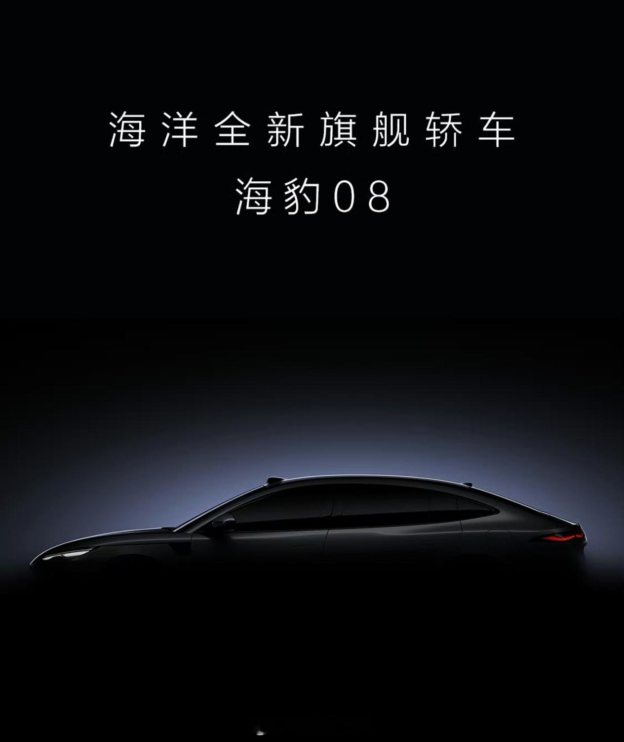 中国人都喜欢车越大越好，车企都在推出大车，比亚迪的海豹08和海狮08预告图，预计