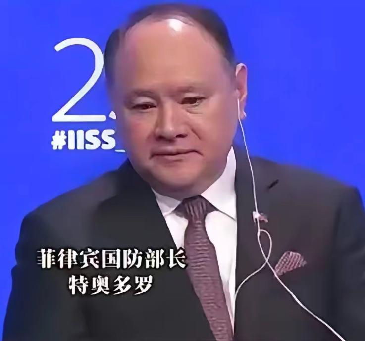 7 月 24 日，菲律宾国防部长特奥多罗接受媒体采访时表态：已经受够接连遭遇的局