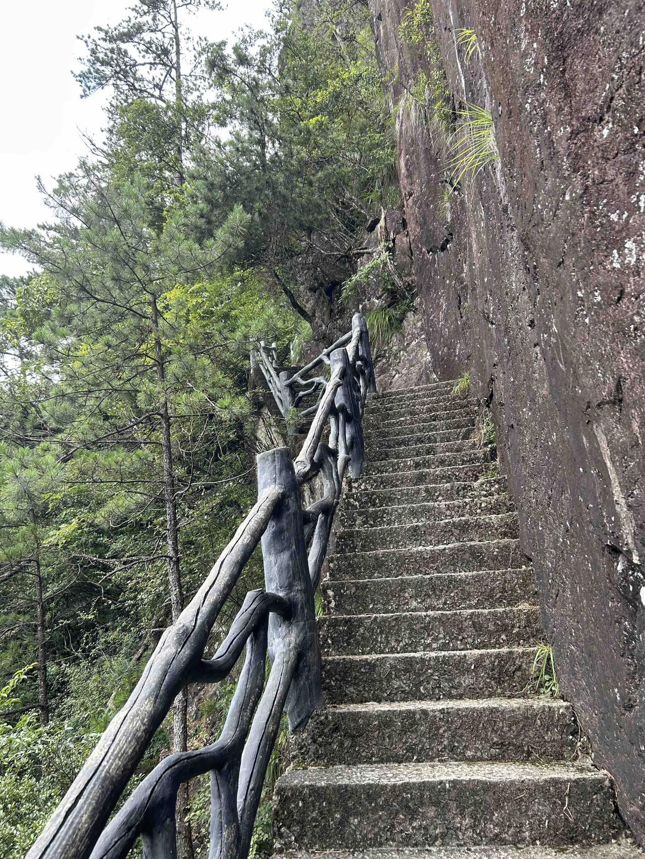 治愈自己，接纳自己，好好取悦独一无二的自己。