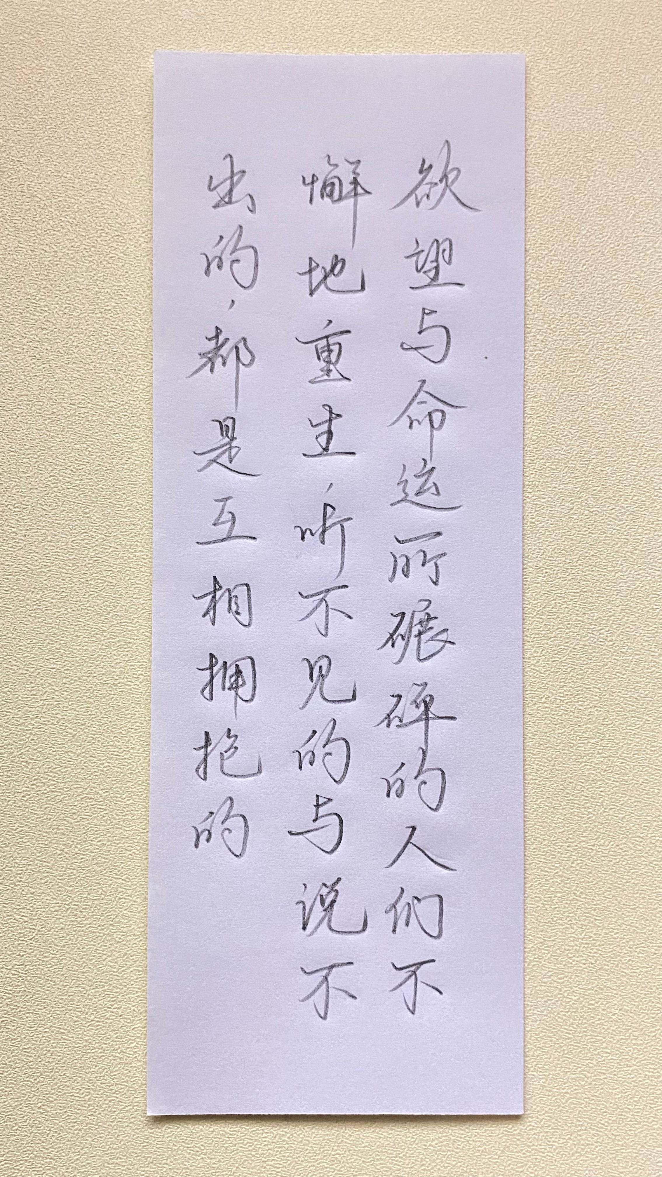 今日作业（2024.12.29）欲望与命运所碾碎的人们不懈地重生，听不见的与说不