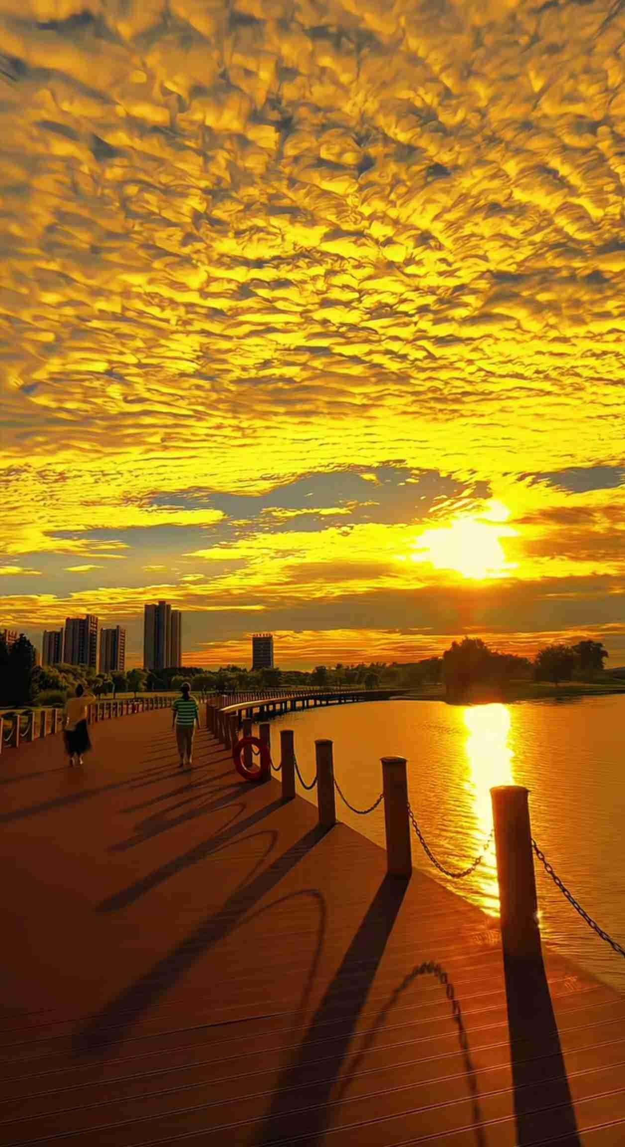 我的今日状态：😁轻松愉快
我这里的天气：🌤️多云

🥤🌷|🅖☻☻🅓 