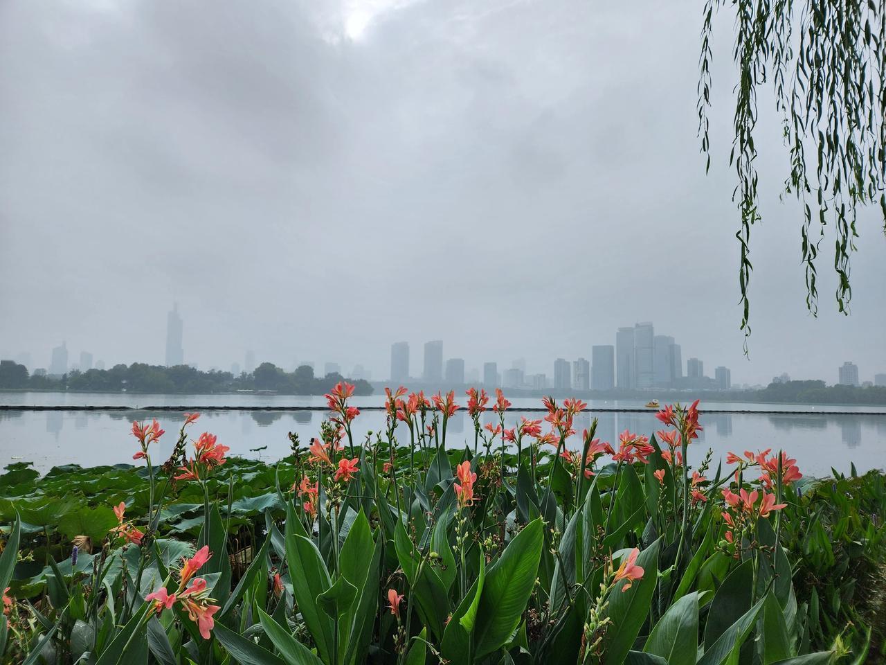 如果你来南京，回去的时候在南京站等火车，千万不要在火车站候车室傻等。
只要你到一
