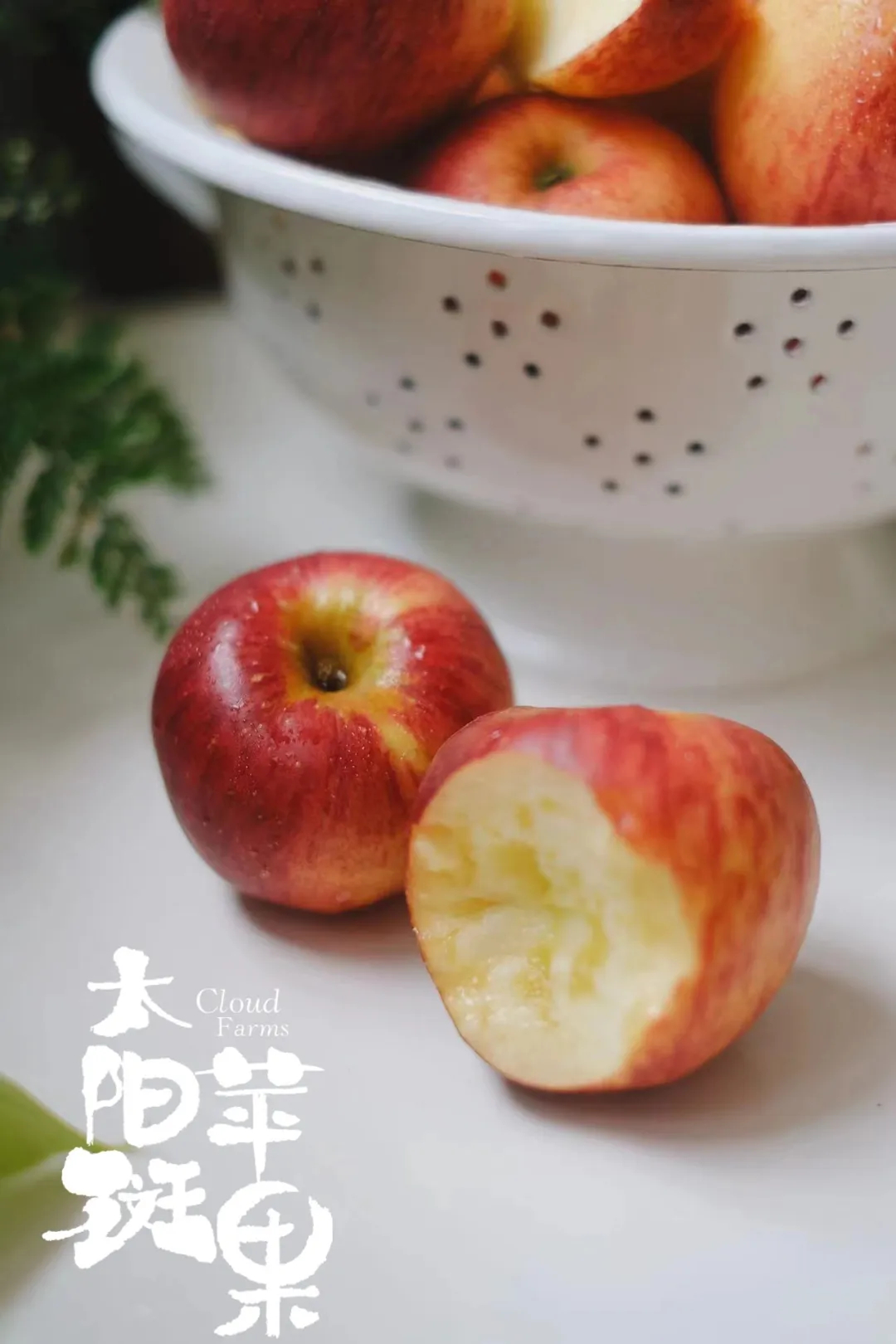 去年推过的、产自云南高原的太阳斑苹果，今年又成熟了。强调一句，这还是全网首批在夏