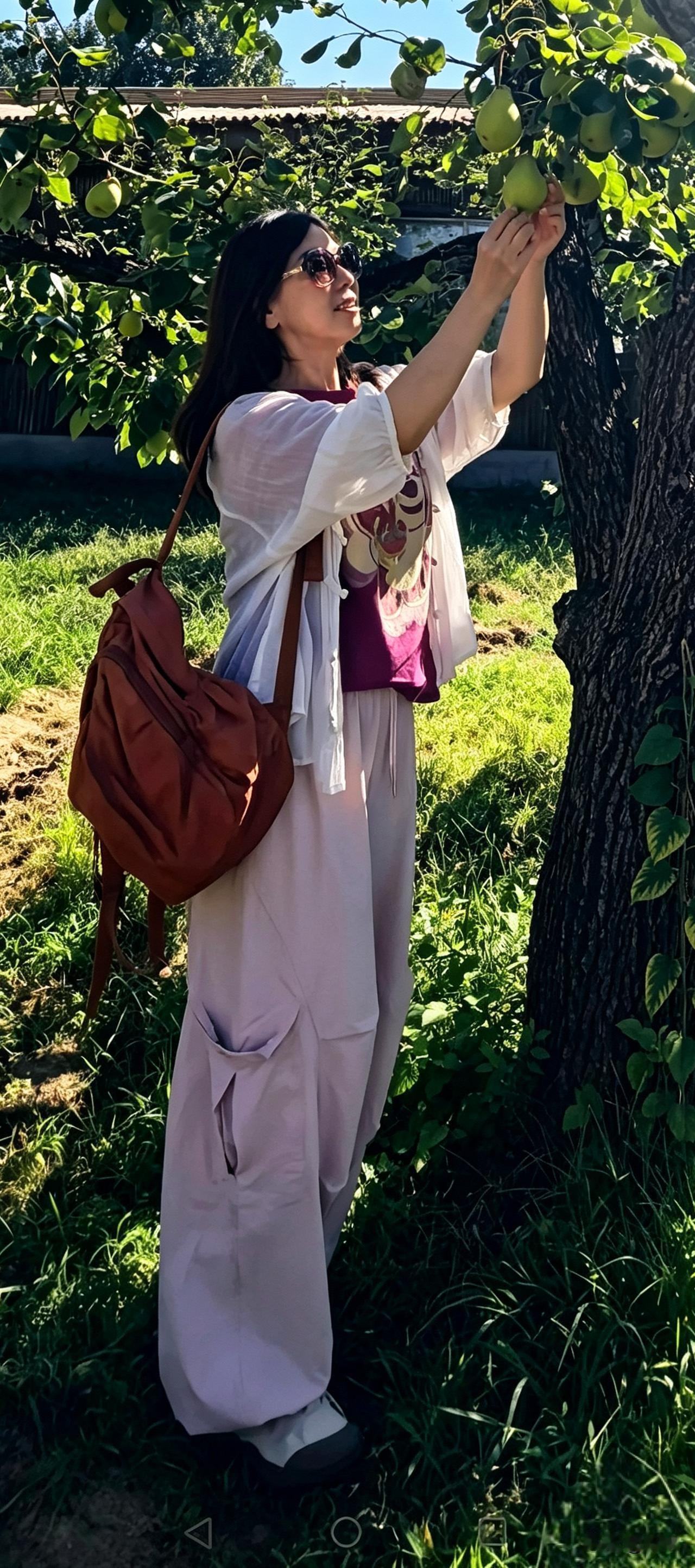 北方的天突然就凉了，吹过来的风带着秋的清爽。

一日三餐、整理家务，没了更多时间