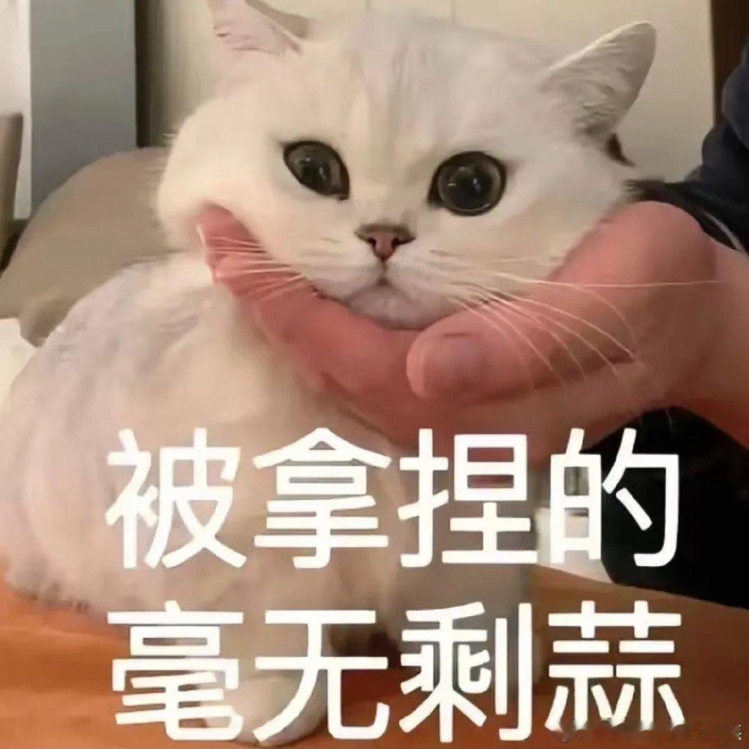 偷票房其实每部电影都有被偷票房的情况，这也是影院个人行为。但是能把偷票房变成业内