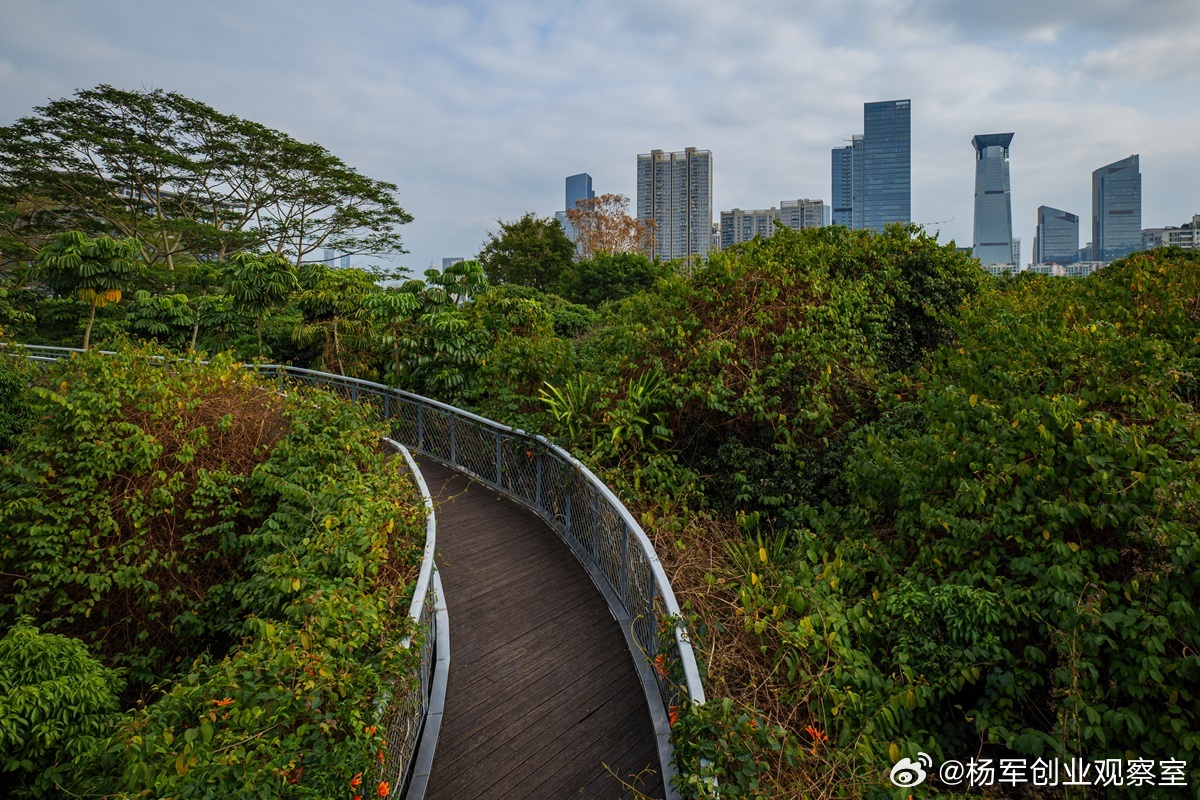 创业融资，正迎来一个必须看清的根本性转折。资本市场的偏好与结构，已发生系统性变化
