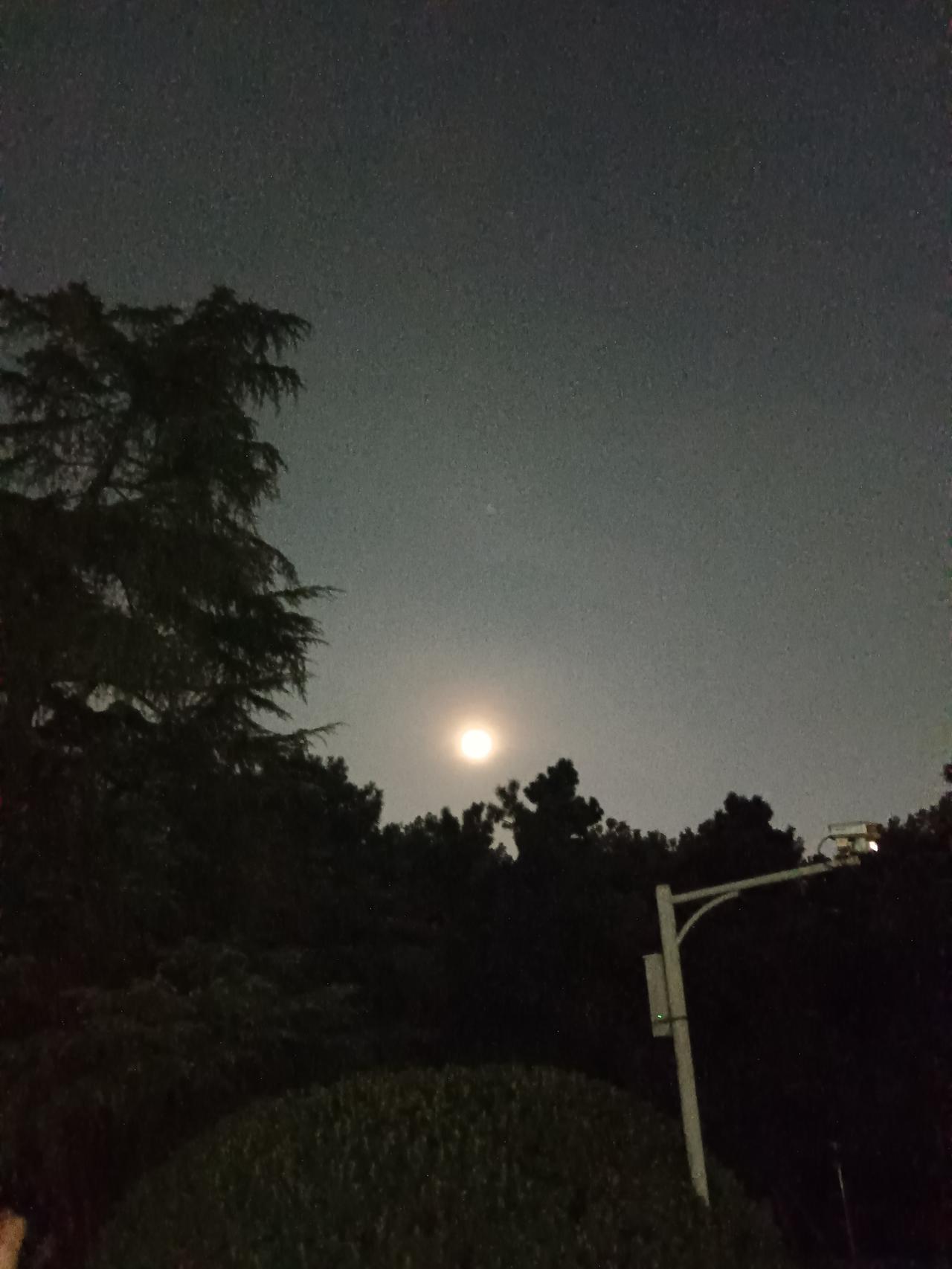 加速探底，必有爆发。

今天大盘破了3700点，跌得是凶，可盘面并不慌。跌停板上