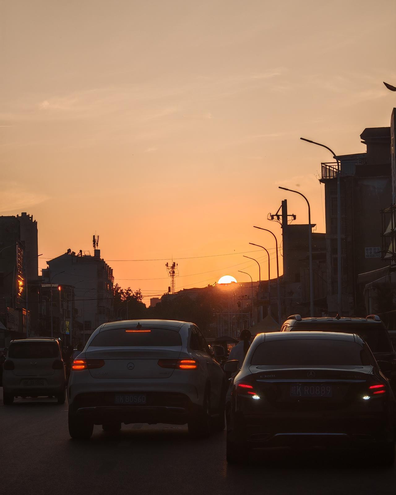 夕阳红