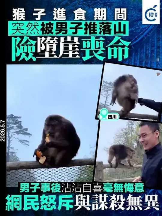 怎么可能做这种事，坏到骨子里，动物它有没有惹到你，本来他们的生存环境就变小了，还