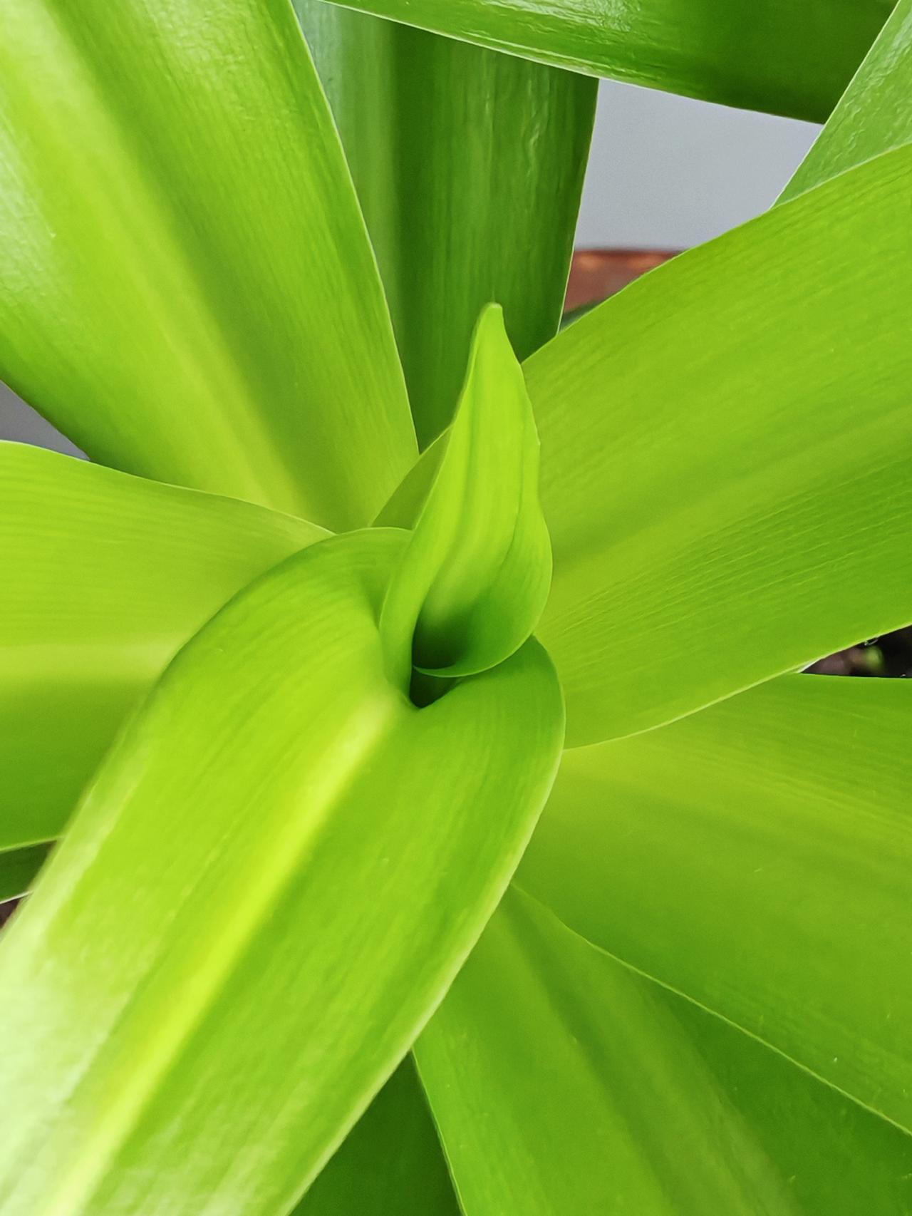 与痛风斗争的历程130
 
   晨起赖在被窝里不愿起身，只因昨夜半夜起来看球，