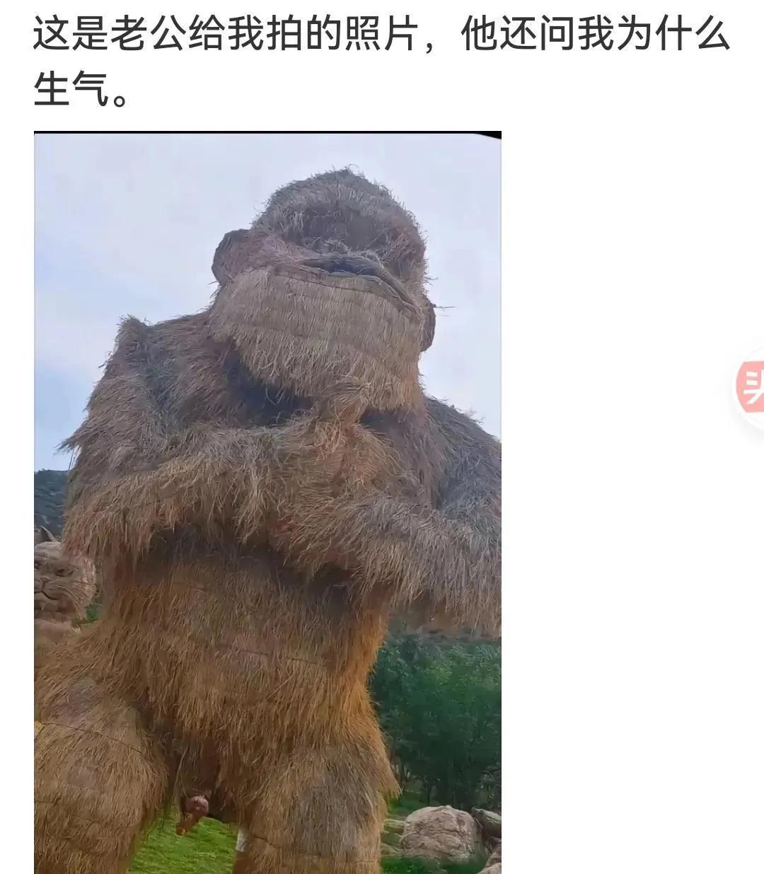 是我也生气，放大了我也看不到在哪里