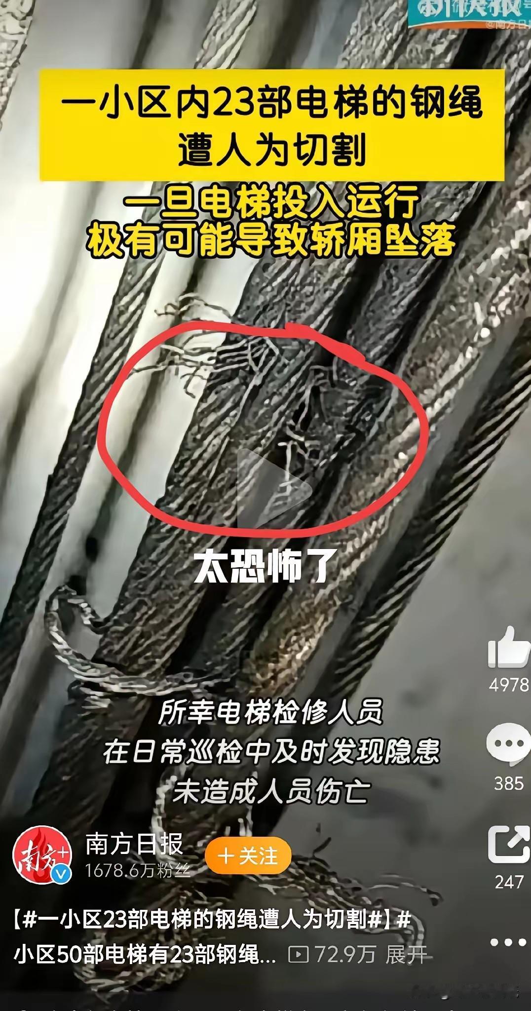 50部电梯竟有23部的承重钢绳被人为破坏。有人认为，涉事男女的行为构成故意毁坏财
