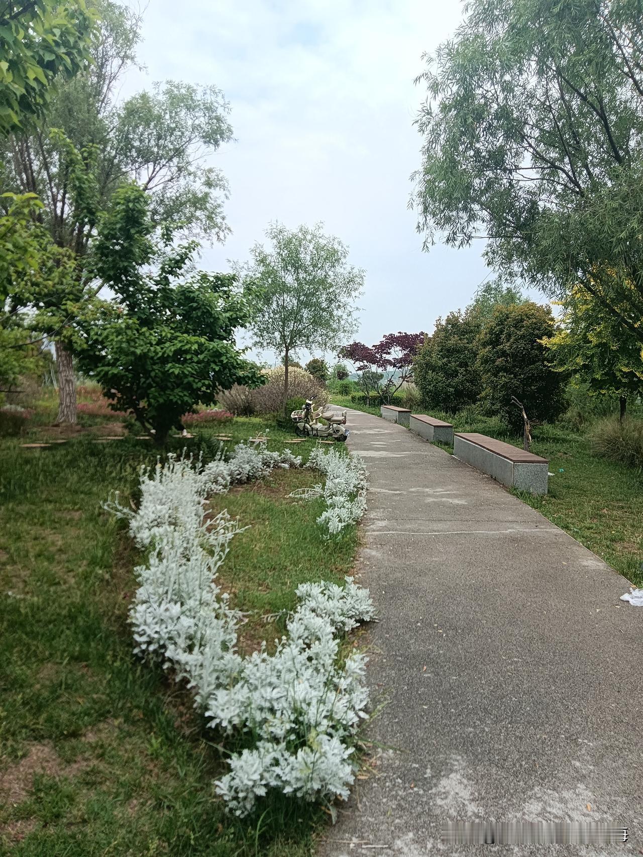 奥体中心灞河段上建好却迟迟不见对外开放的河心岛，近日不知啥时候打开了长期封闭的门
