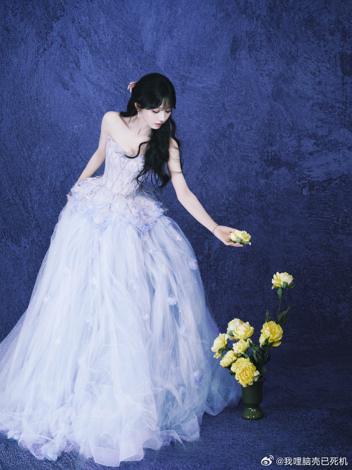 田曦薇肆意生长田曦薇紫罗兰女神 田曦薇紫罗兰女神，田曦薇肆意生长，今日分的自由感