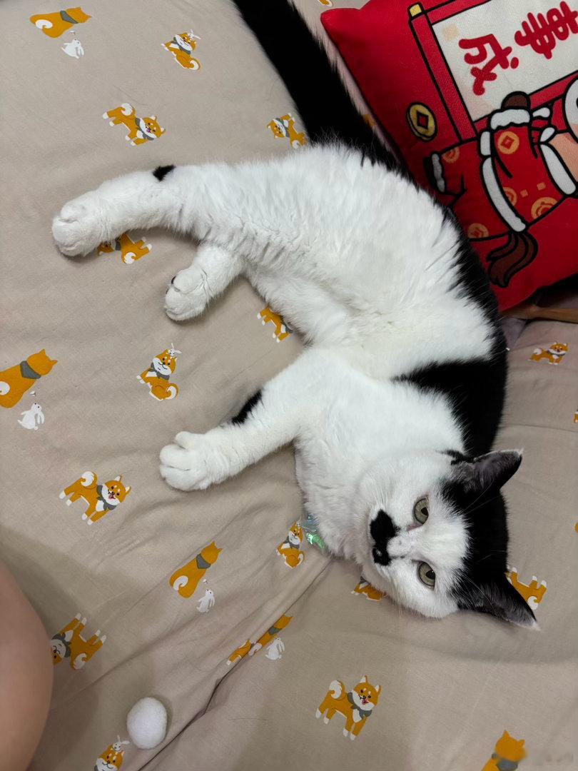 晚安💤 