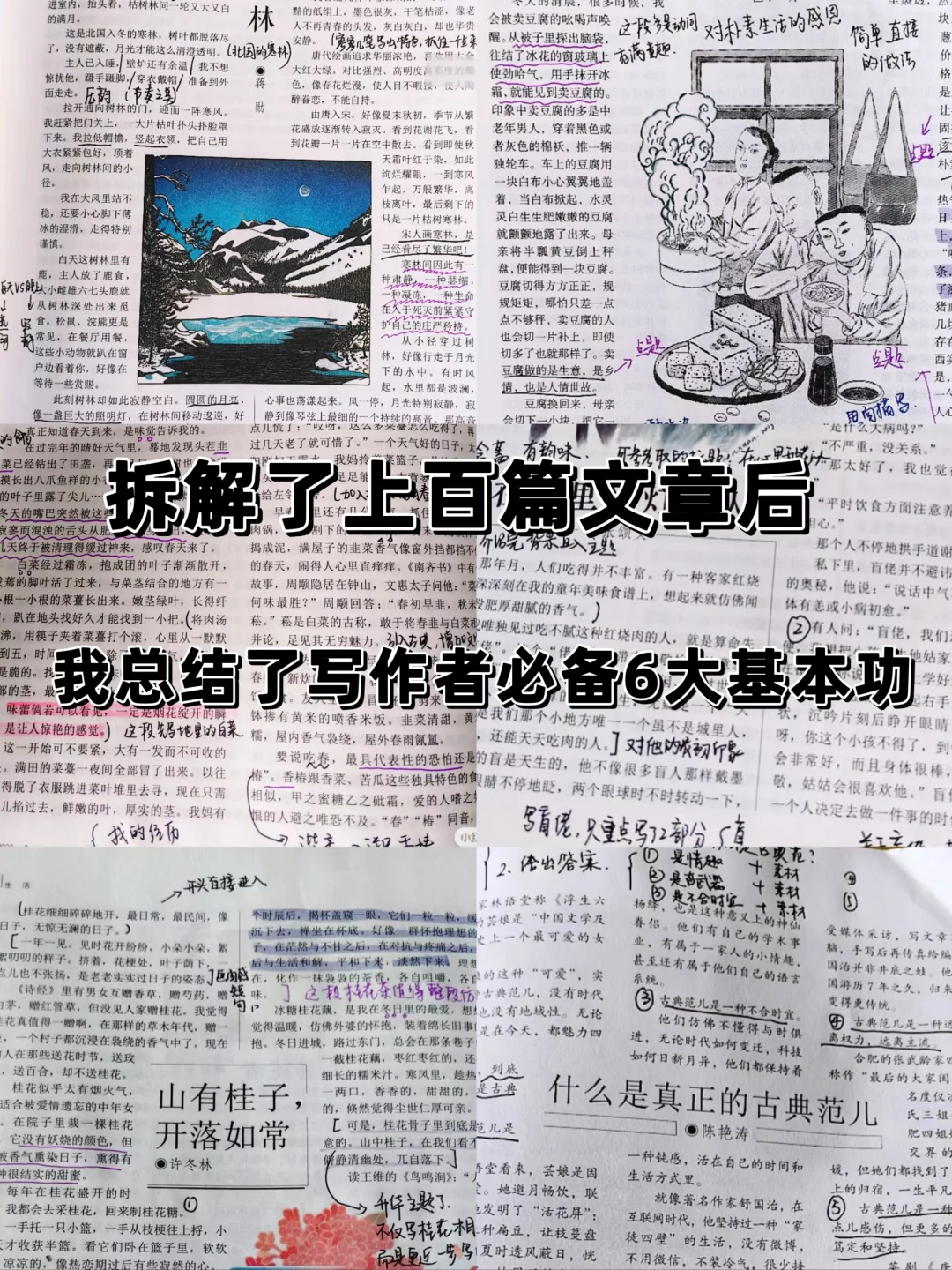 写作新手建议狠练这6大基本功‼️提升文笔