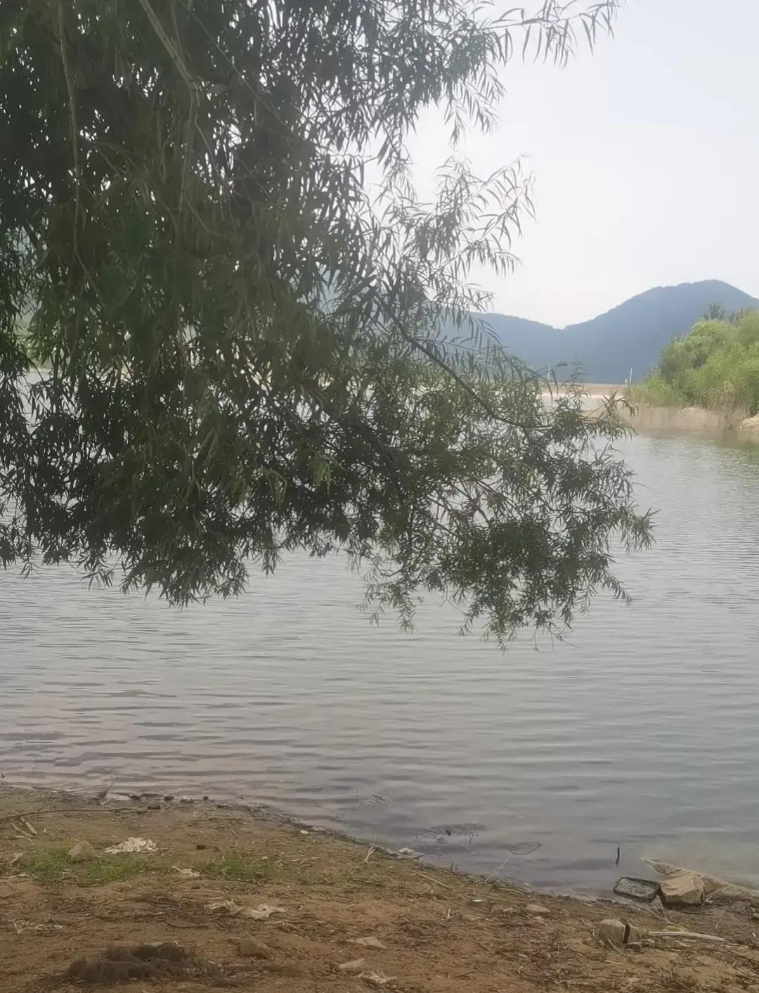村里几个贷款一百万养蛋鸡的，两年多就快还清债，立秋后一天能进账一万多，这事儿听着