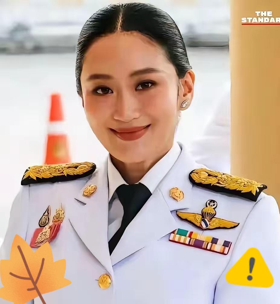 泰国国防部宣布了！

当地时间17日，泰国国防部在发布会上宣布禁止向柬埔寨运输石