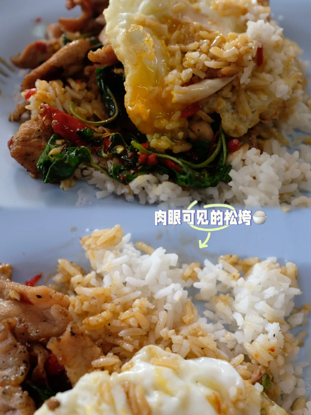 🇹🇭曼谷｜米饭不好，打抛饭怎么会好吃