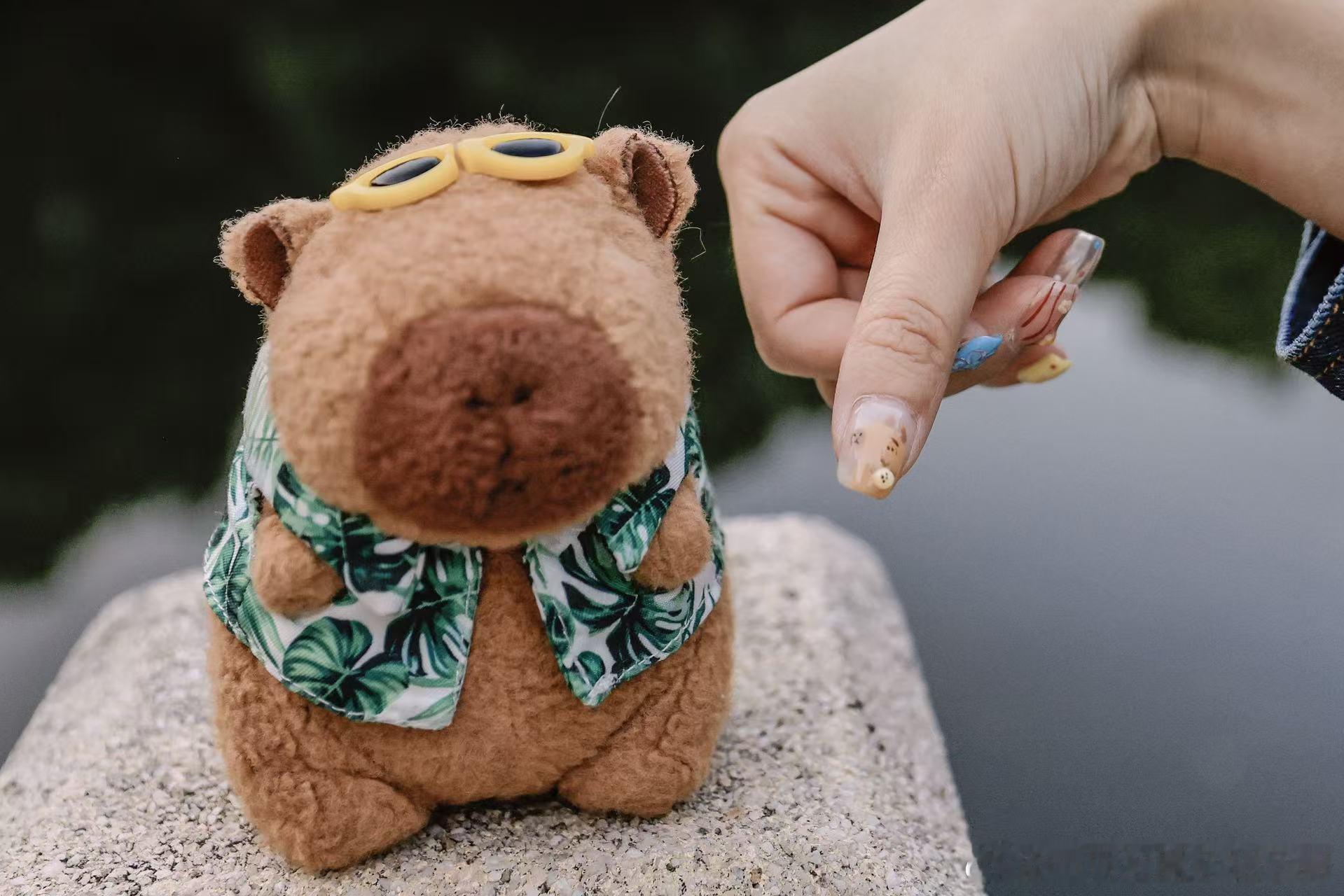 柱子哥是谁？一个在互联网上真实完整记录自己从28岁到35岁人生的普通人，关注肿瘤