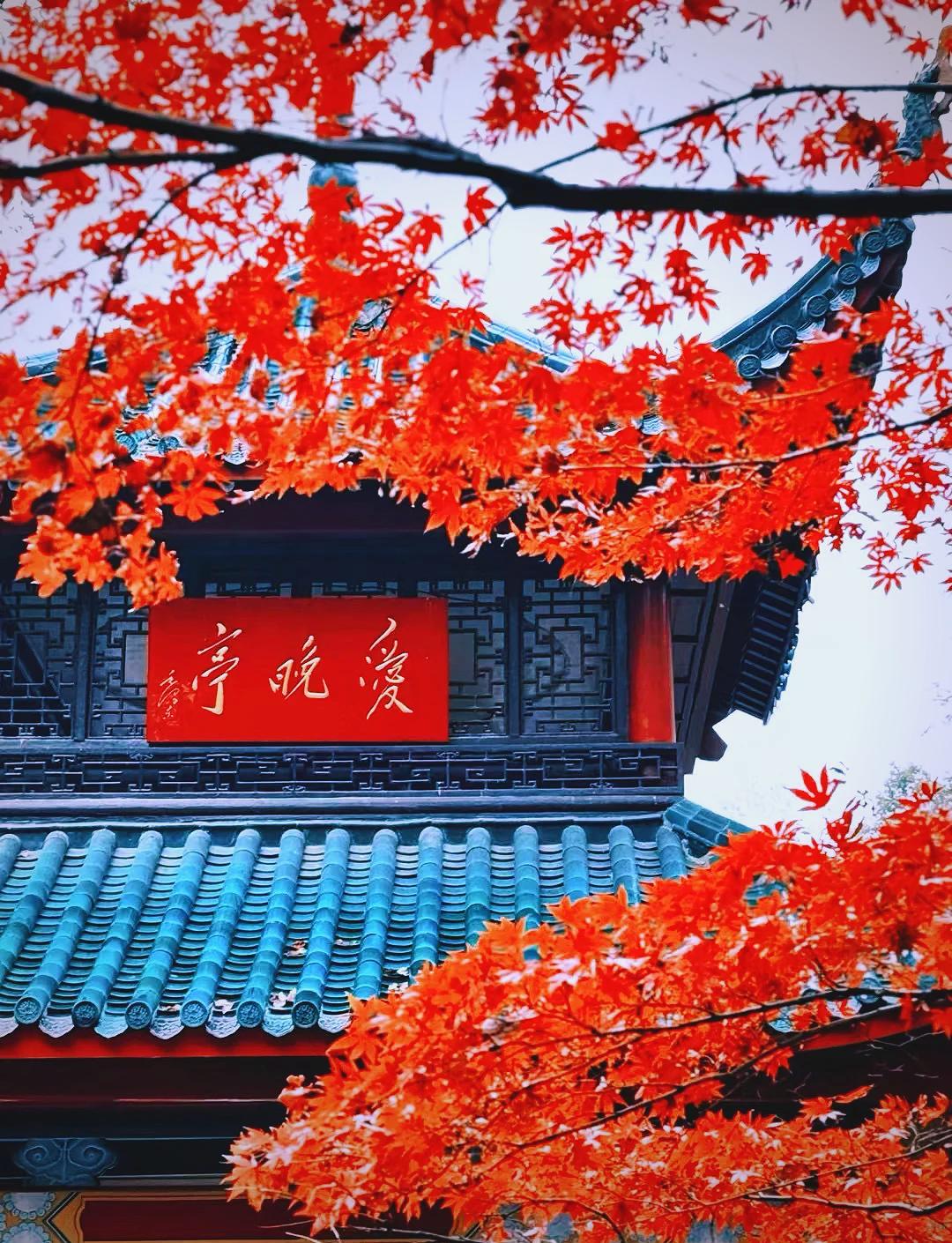 下联：细雨红叶亭。

（图片来自网络）