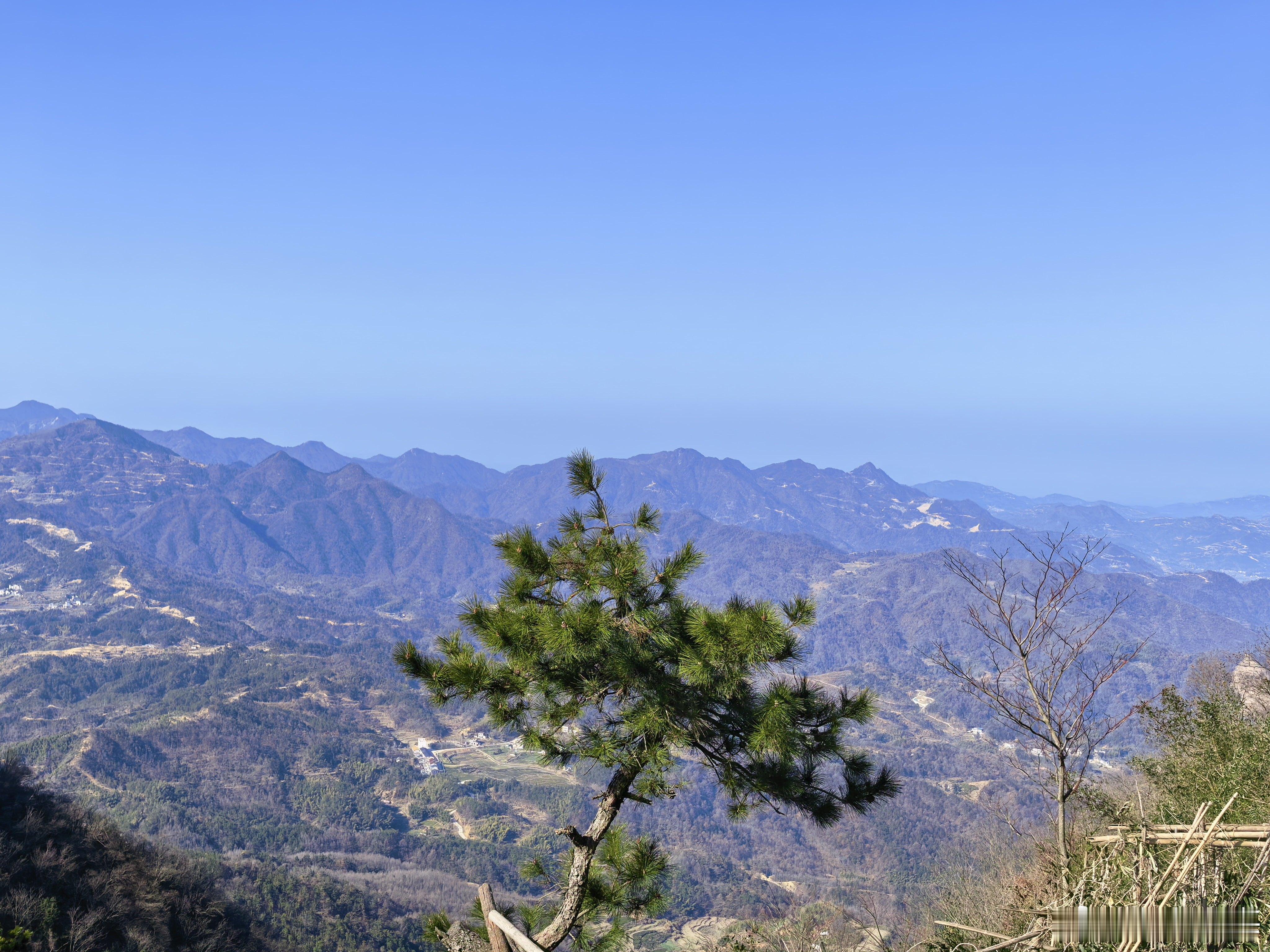 新壁纸  早安！ 