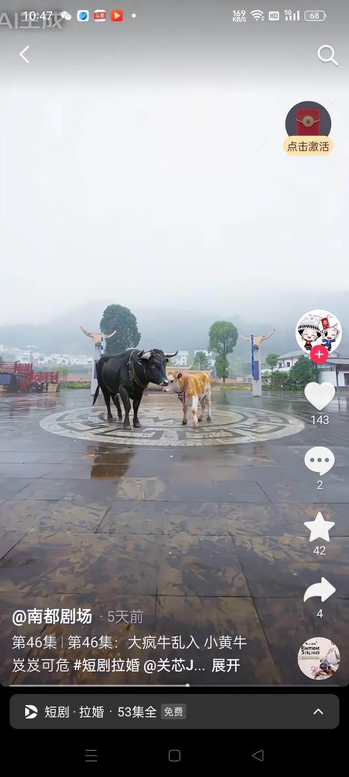 这头大黑牛，把我看笑了😂
 
刷到个短剧片段，一头大疯牛直接闯进广场，对着一头