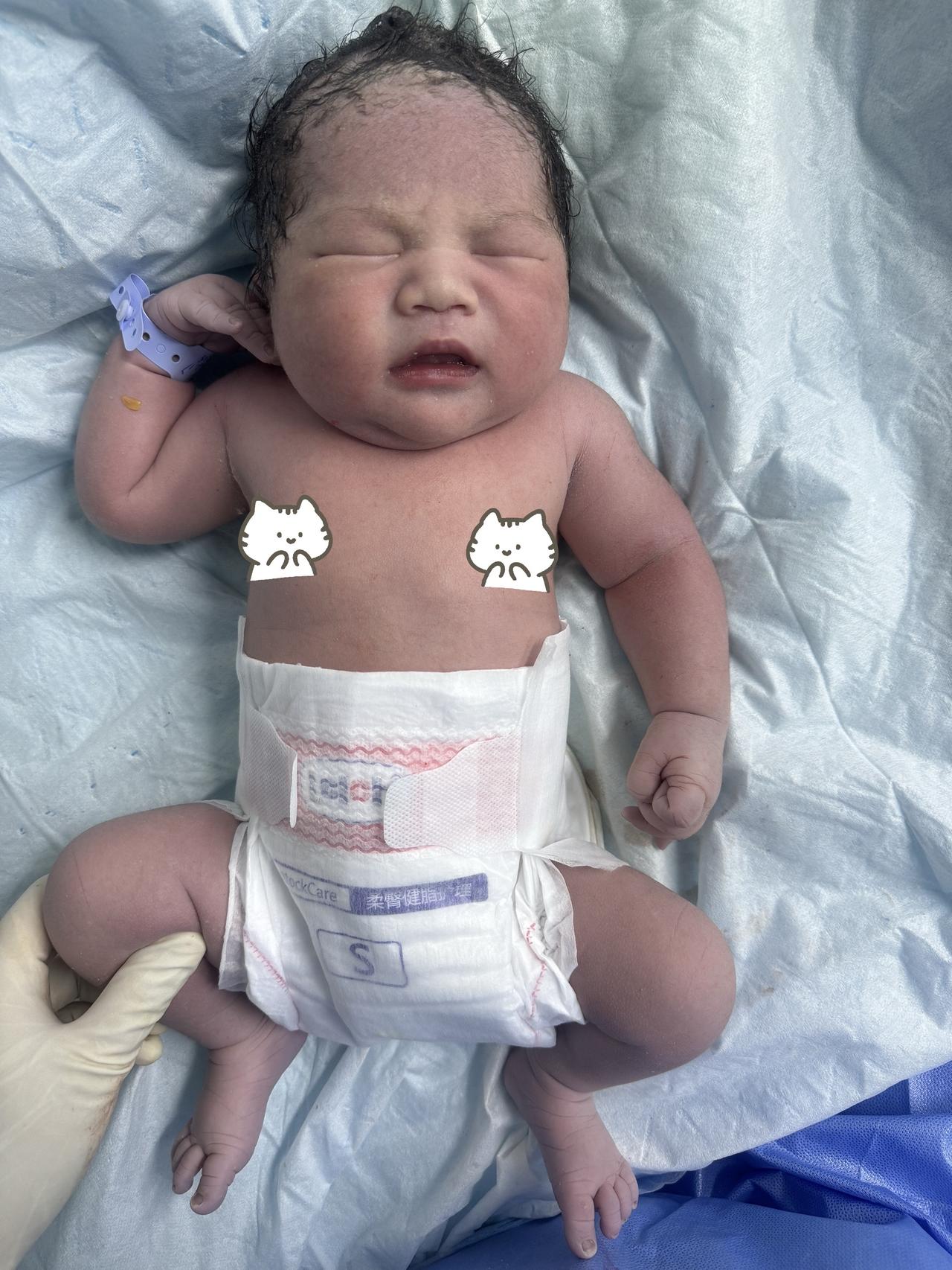 你不必是一朵花，不用开给谁看啊，
风会吹雨会下，你只管自在发芽🌱
宝宝出生了