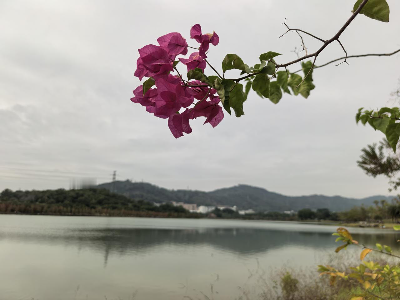 晒图笔记大赛一枝独秀！