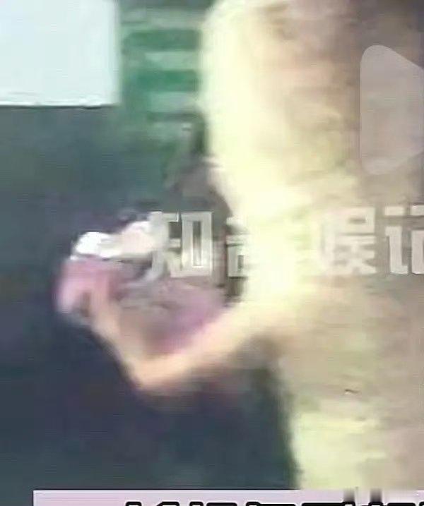齐思钧女朋友疑似马凡舒齐思钧现女友疑似马凡舒齐思钧马凡舒大学旧识同框，网传二人旧