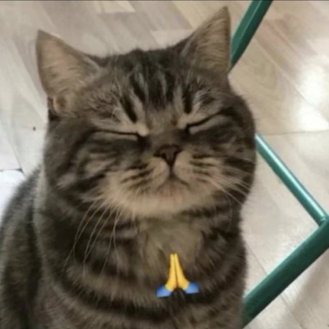 紧张…… 