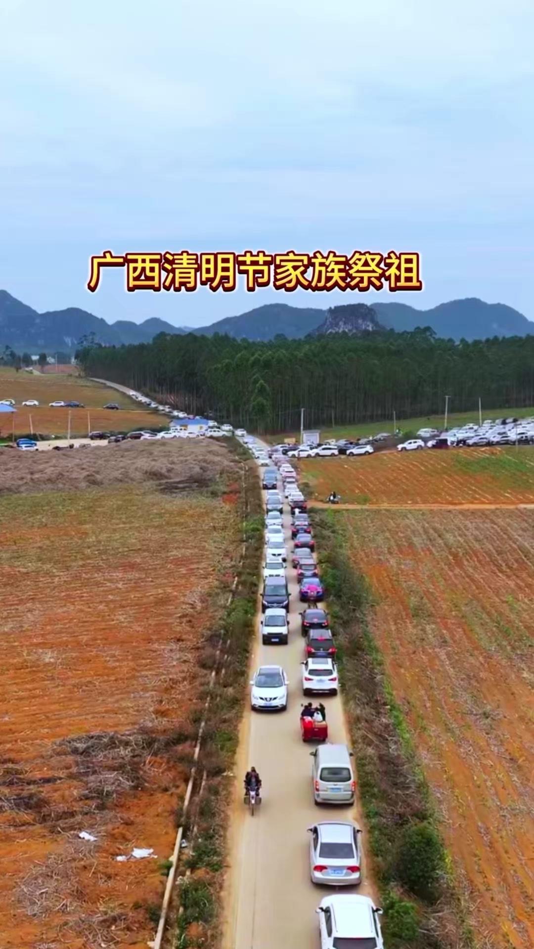 在广西，清明祭祖是刻在骨子里的仪式感。从准备祭品到家族团聚，每一步都藏着对先人的