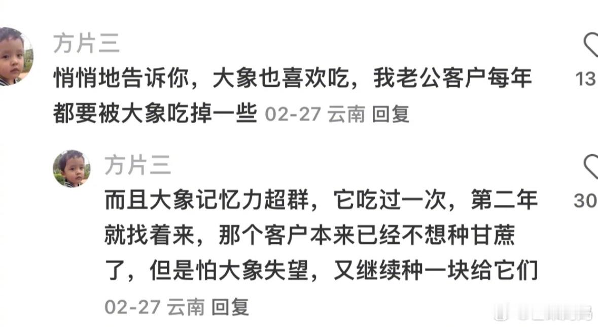 原谅这个世界一分钟🥺原来云南人民会特地为迁徙的大象种一片地 ​​​