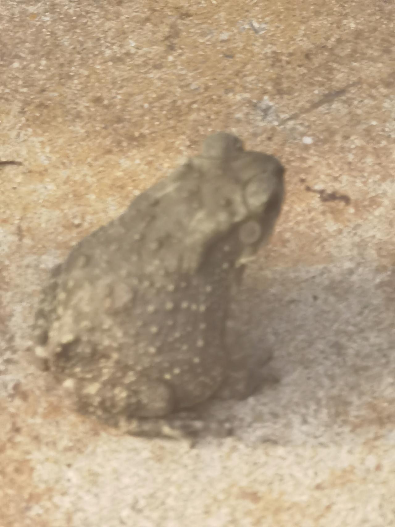 美伊尖锐对峙：美国欲除伊朗核能力，伊朗誓死捍卫主权   
      美国此前妄