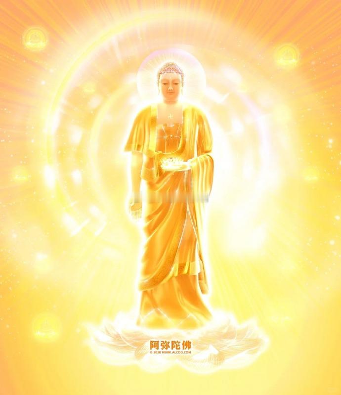 睡前不忘顶礼三拜，夜梦吉祥，运势亨通，明日醒来定会有一个吉祥美好的缘起  