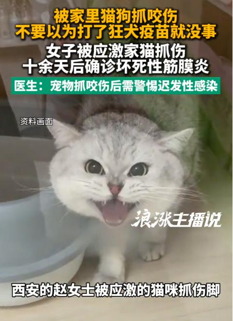 陕西西安发生了一件让人直呼意想不到的惊险事，一位女子被家猫抓伤后本以为万无一失，