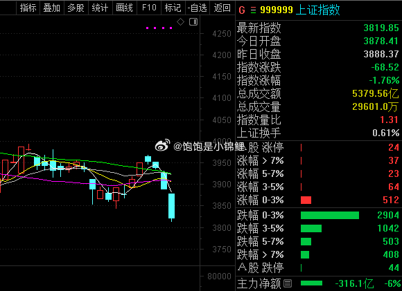 第四天，还破位了。 ​​​