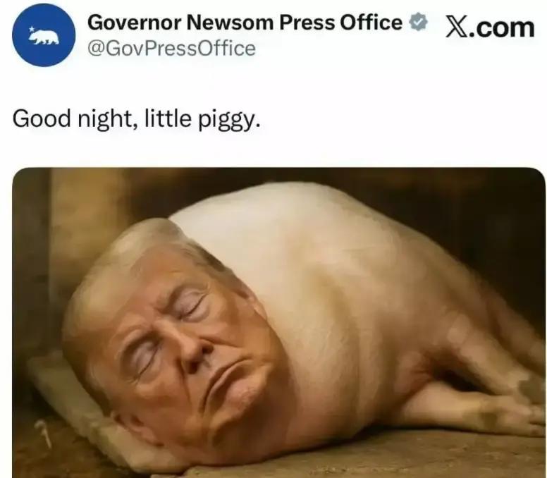 快讯！快讯！
 
加州州长纽森突然在X上发图，把特朗普P成一头猪，台词也不客气。