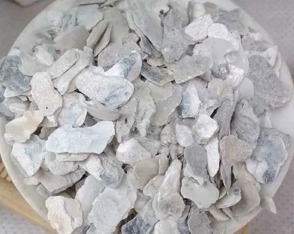 2个海里的东西，专治肺结节、慢阻肺、甲状腺结节 首先说说海浮石。这是一...